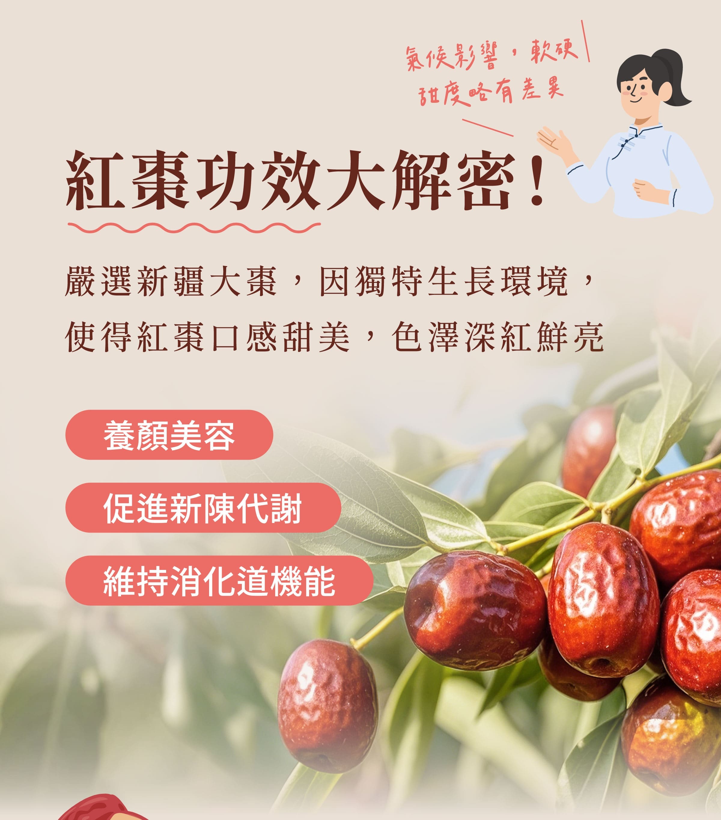 登義貴妃棗原料紅棗的功效
