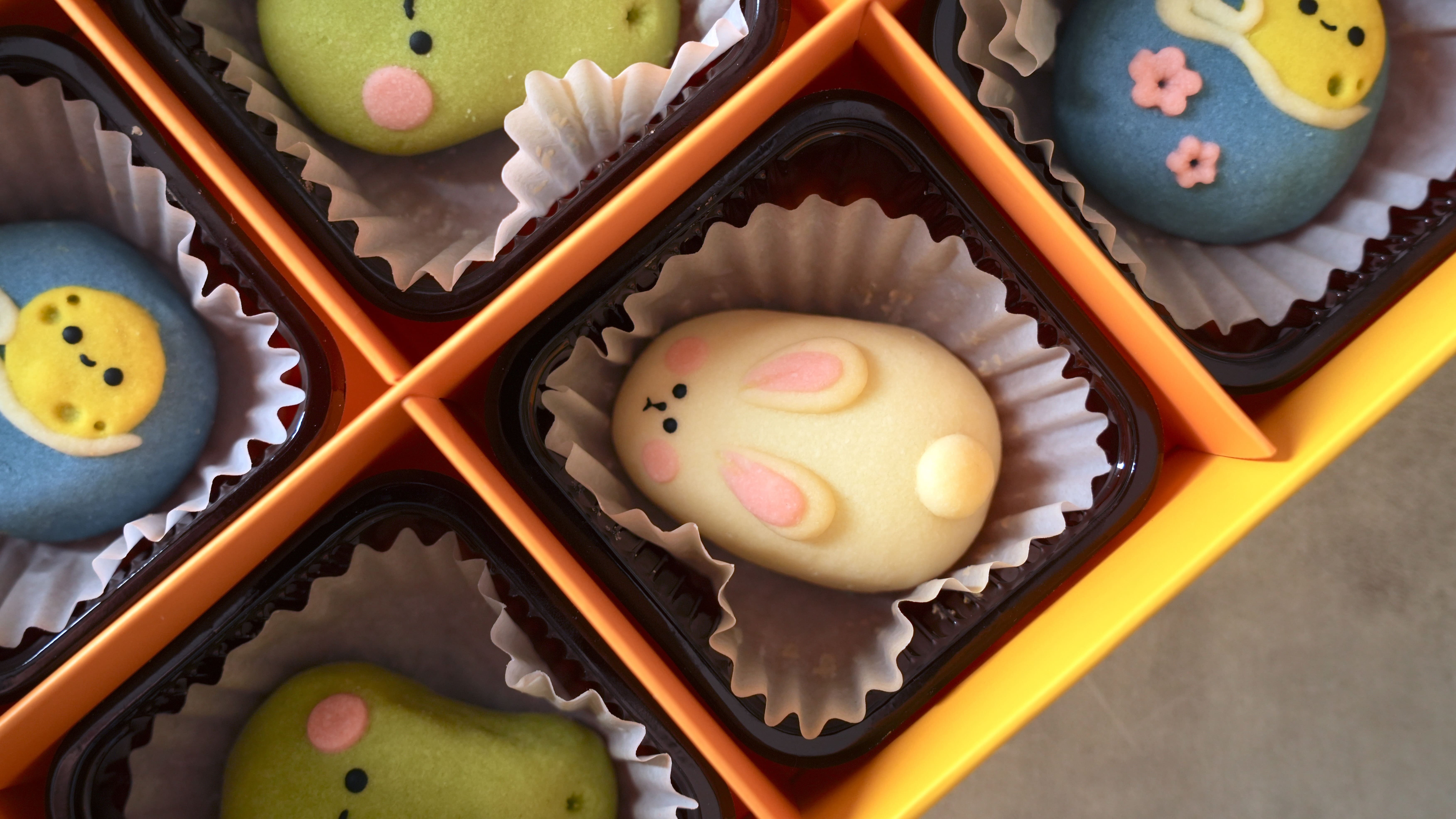 “造型鳳梨酥1”