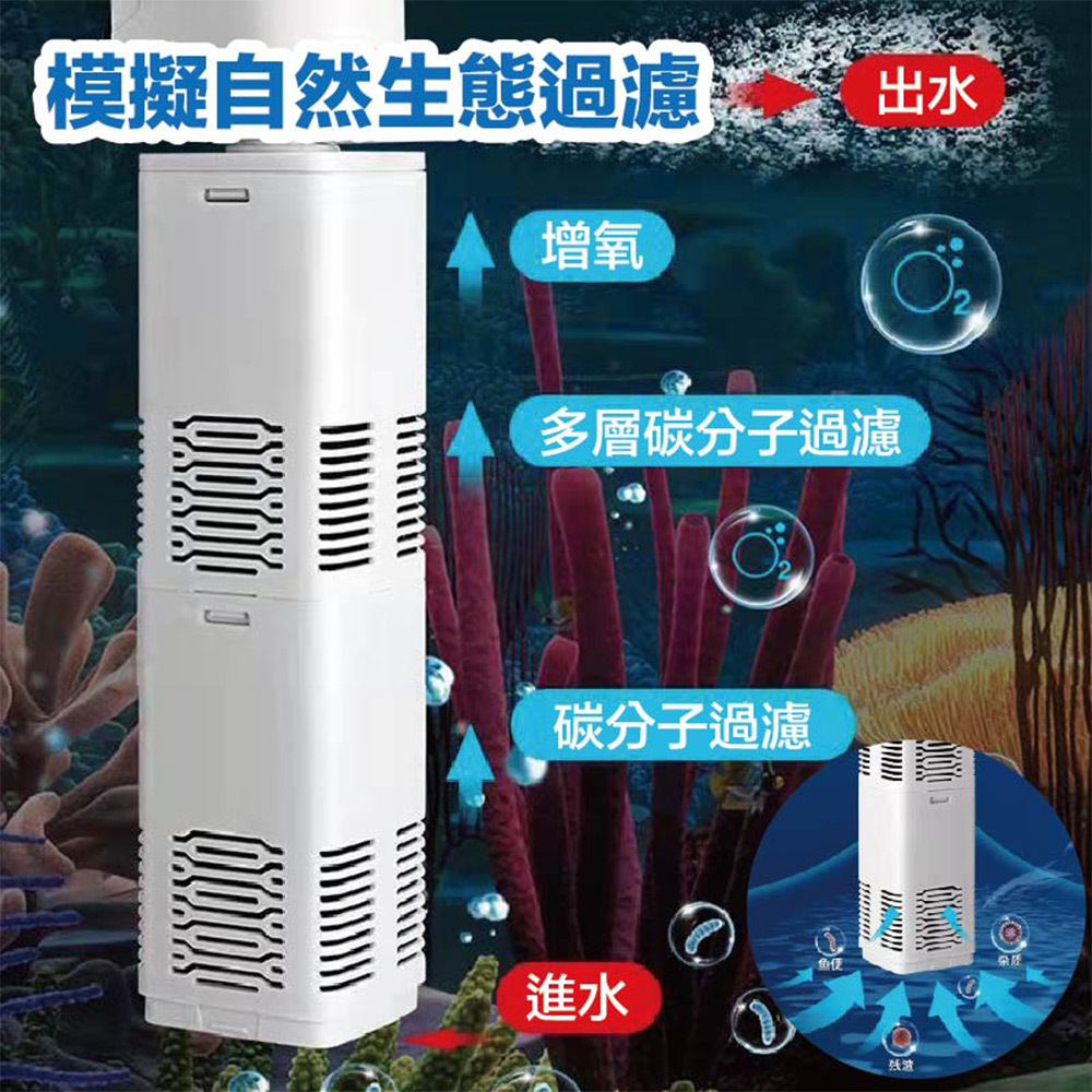 良好的水流循環不僅能防止髒汙堆積在特定角落,更是維持健康養魚生態環境的關鍵要素