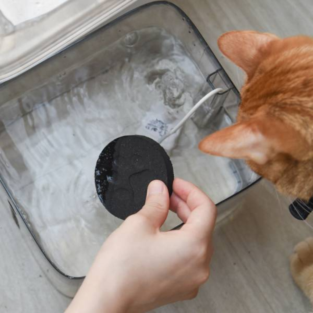 貓樂園 ParkCa｜喝水好喵招 飲水淨化