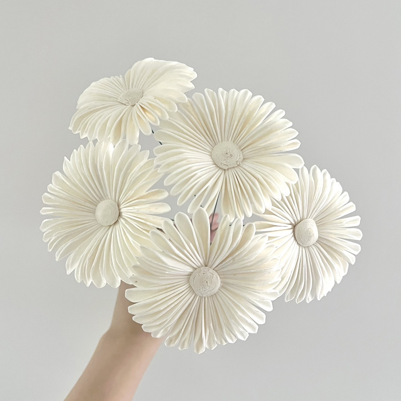 泰國索拉花 雨傘太陽花 8CM <五支一把> (高品質)