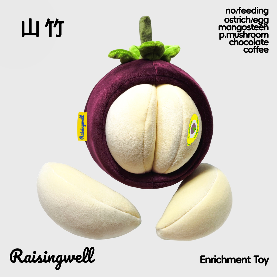 《 Raisingwell 》禁果系列嗅聞藏食玩具（5款）