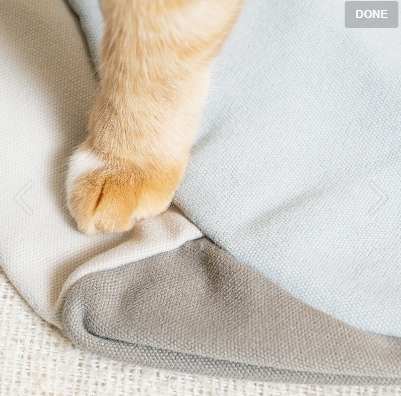 好味小姐｜好味貓懶骨頭枕套 懶骨頭枕套 替換枕套 M L XL