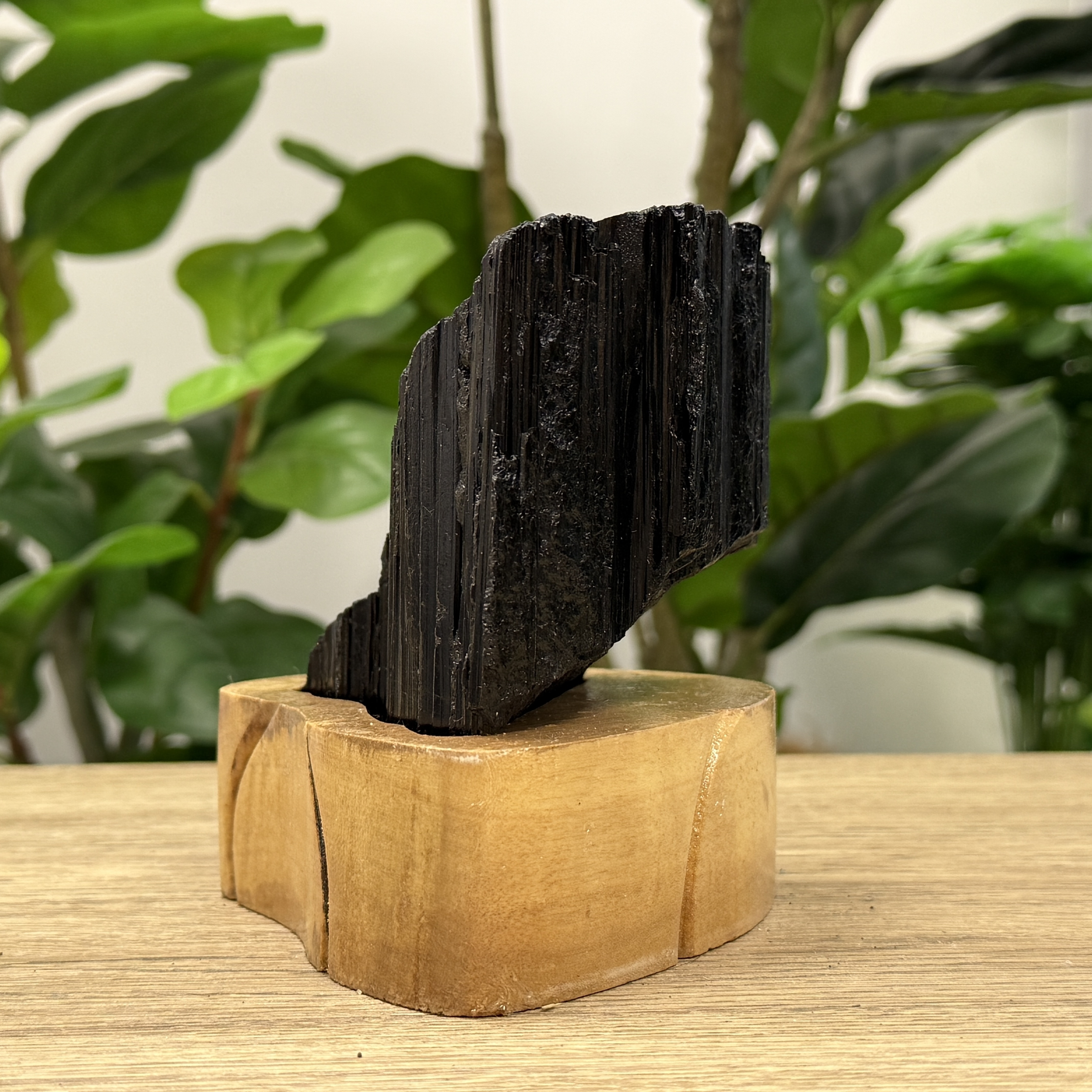 黑碧璽/電氣石 1.19KG TRR1737