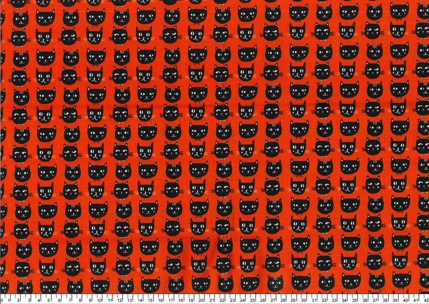 進口棉布250616-012(一尺)