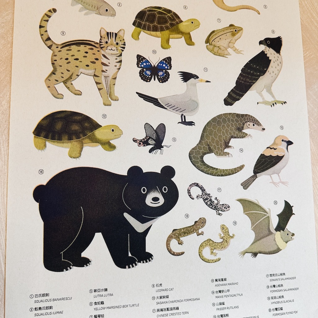 台灣保育動物海報 孔版印刷 海報｜ 銀海設計 SilverSea Design Studio