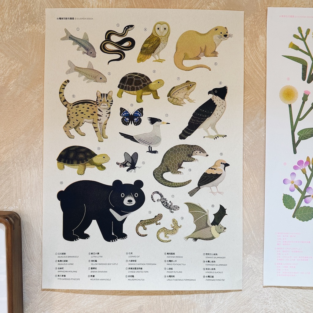 台灣保育動物海報 孔版印刷 海報｜ 銀海設計 SilverSea Design Studio