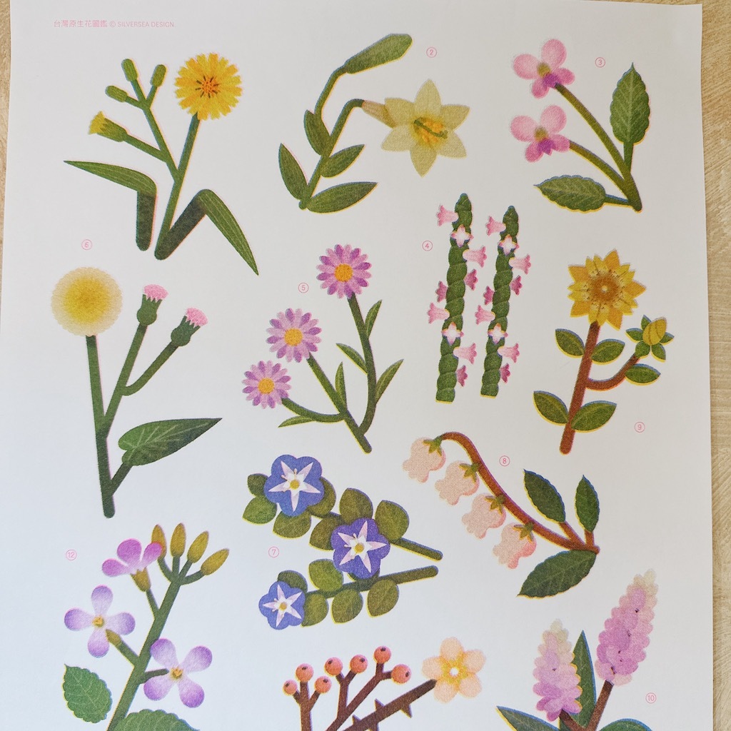 台灣原生花 孔版印刷 海報｜ 銀海設計 SilverSea Design Studio