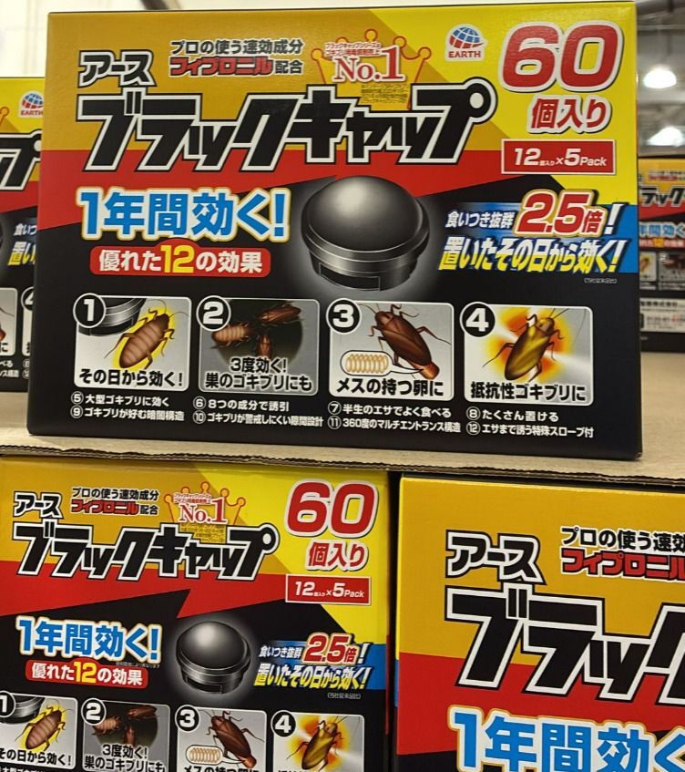 【預購】日本Earth G061617 小黑帽蟑螂屋60個裝