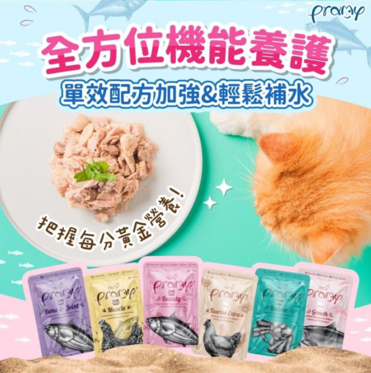 Pramy (肉汁系列) 功能性貓濕包 70g