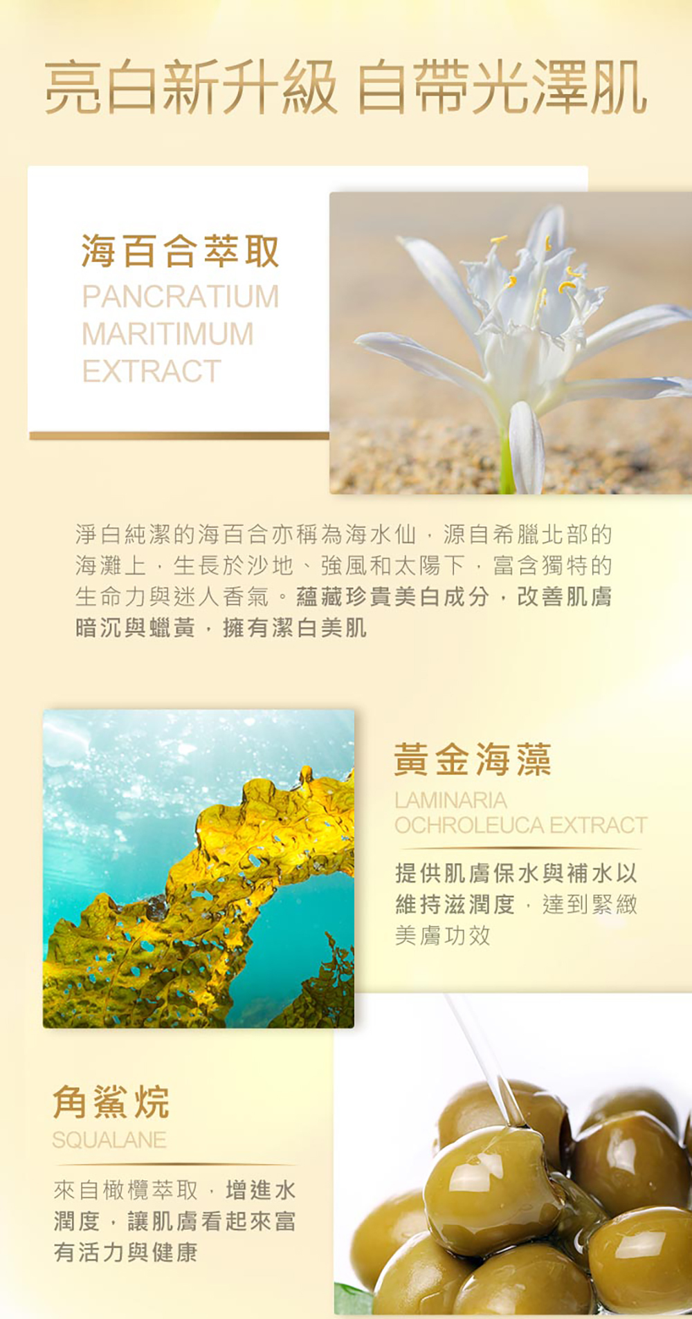 jealousness 婕洛妮絲 閃閃發光防曬素顏霜SPF33 30ml