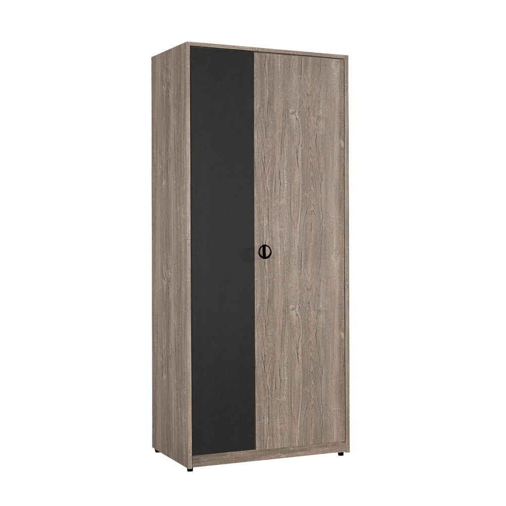 休斯2.7尺工業風二門衣櫃(雙吊桿)