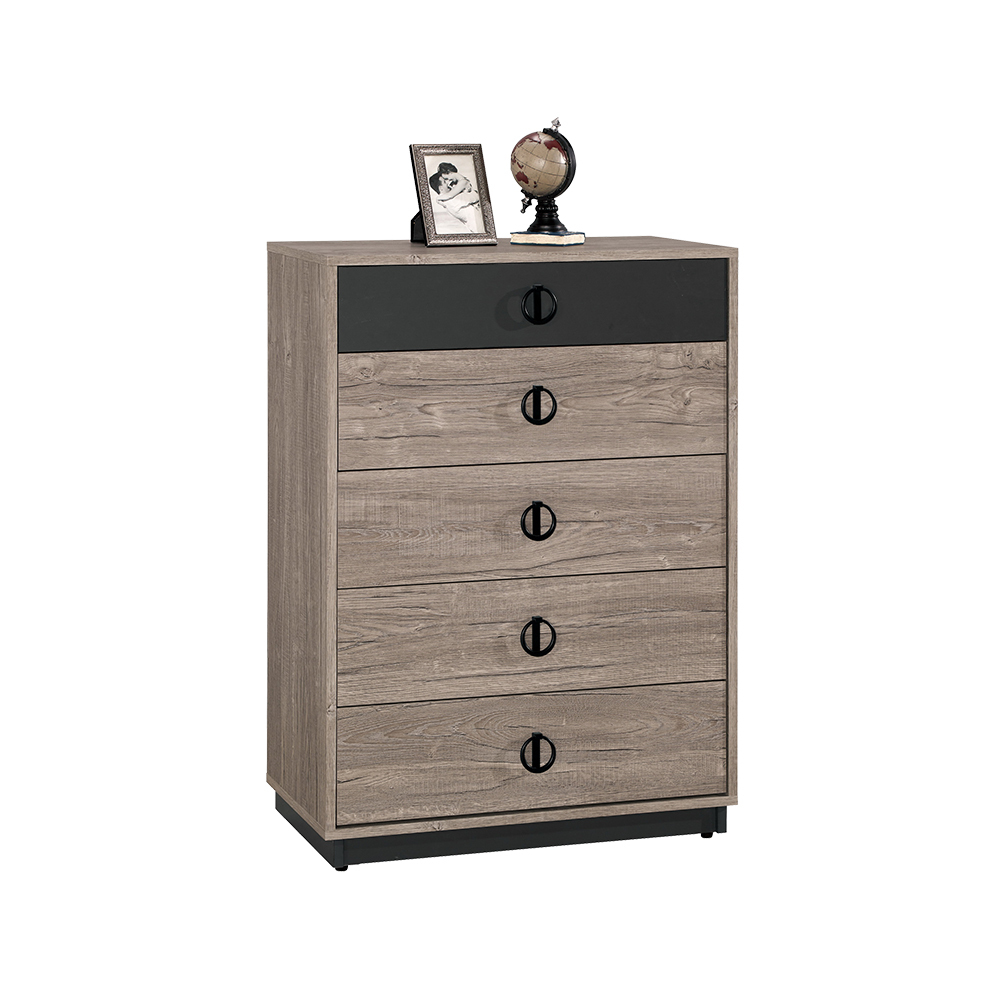 休斯2.5尺工業風五斗櫃/五抽收納櫃/置物櫃