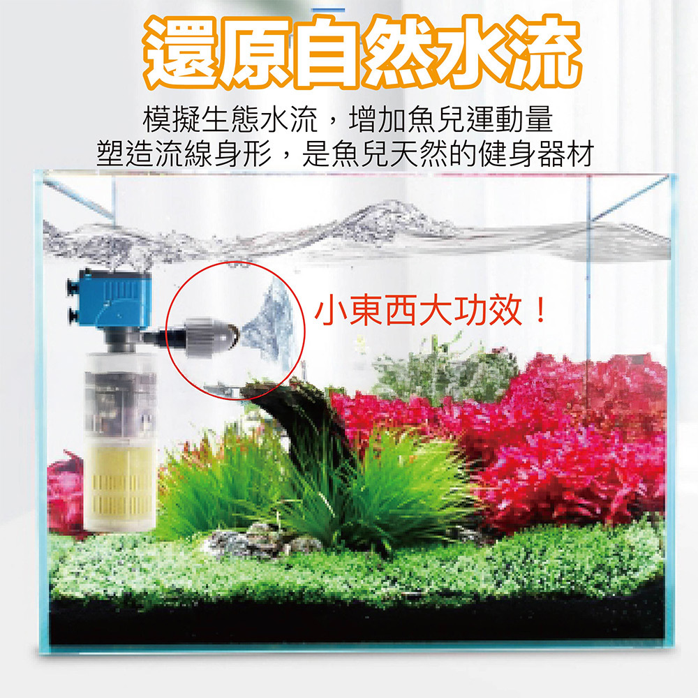 還原自然水流 模擬生態水流,增加魚兒運動量 塑造流線身形,是魚兒天然的健身器材