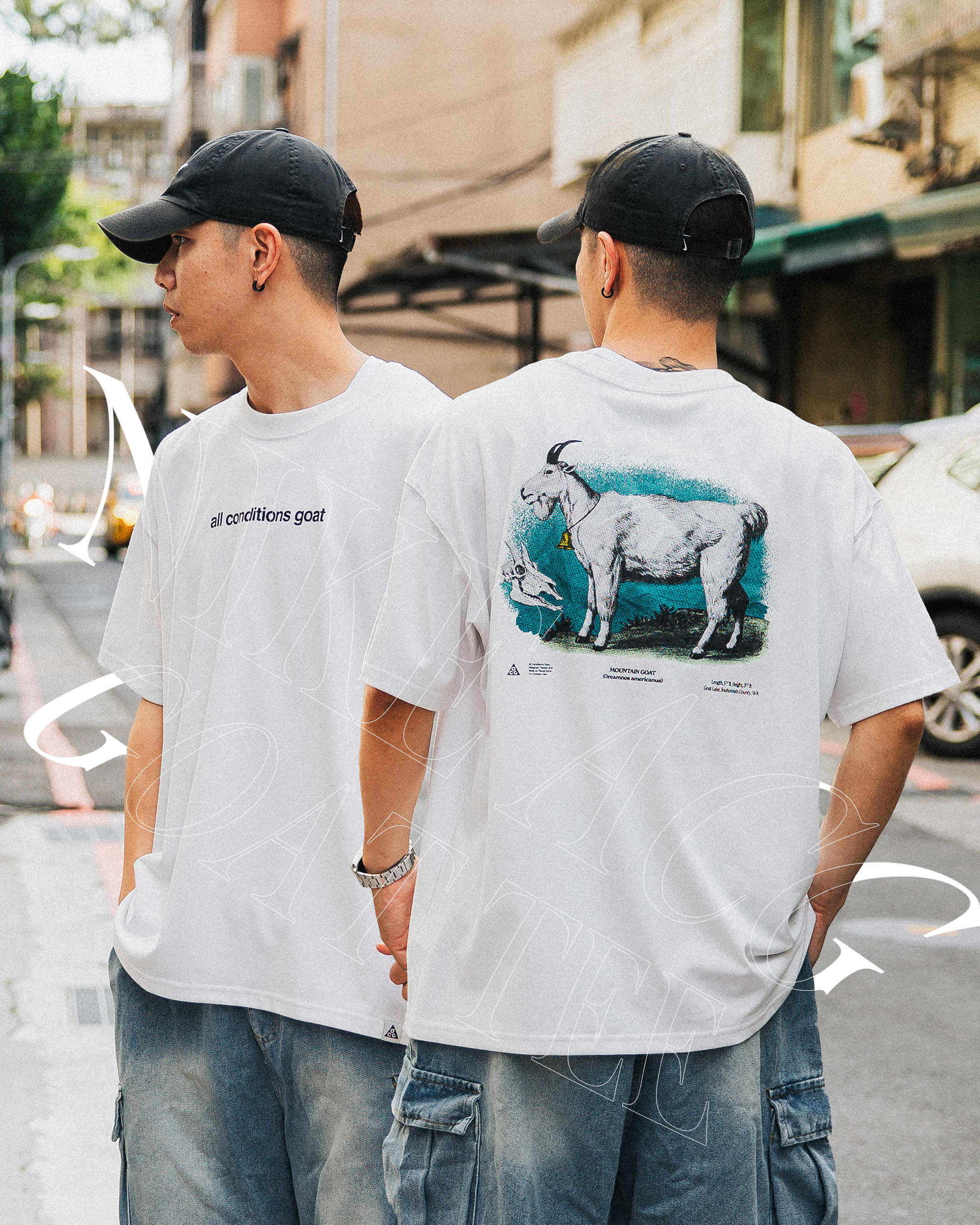 NIKE ACG Dri-FIT TEE 'all conditions goat' 最棒的山羊 印花 重磅 短袖 短T【FV3493】