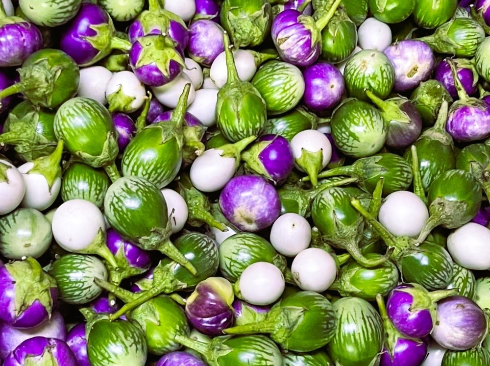 本地泰國青茄子（綠色）