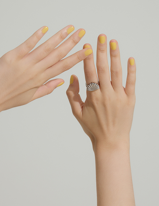 【鈦鋼】海洋假期貝殼戒指