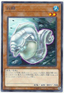 CP17-JP018  白鱓 (白鱓)