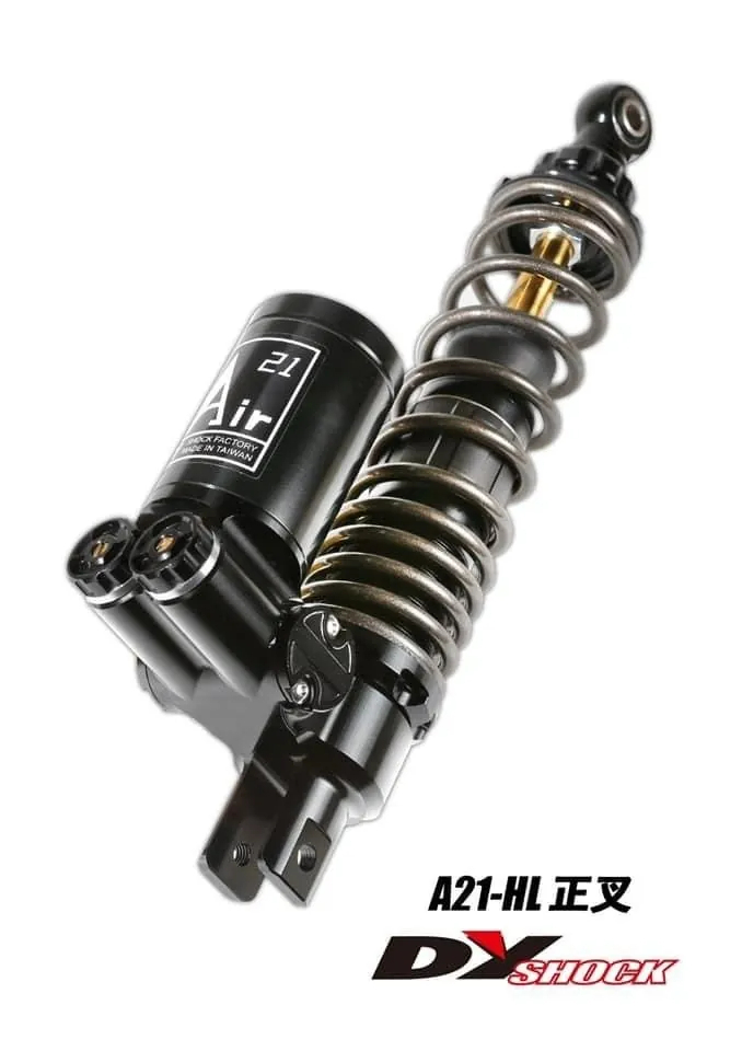 DY A21 H/L 後避震