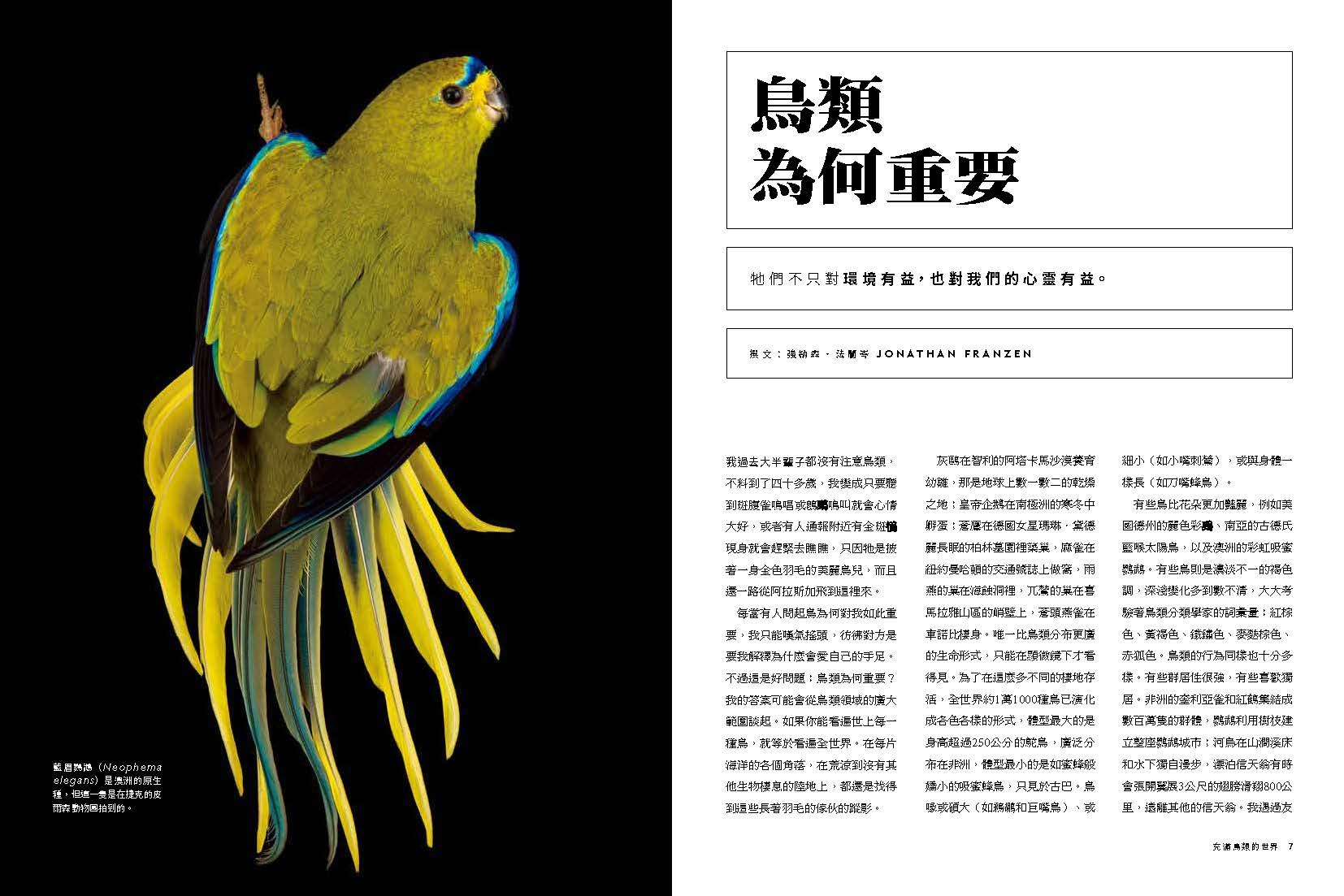 <img src="Secret Life of Birds-01.jpg" alt="2025年6月特刊、鳥類的祕密生活、探索鳥的奇妙生態與感官世界的內文1">
