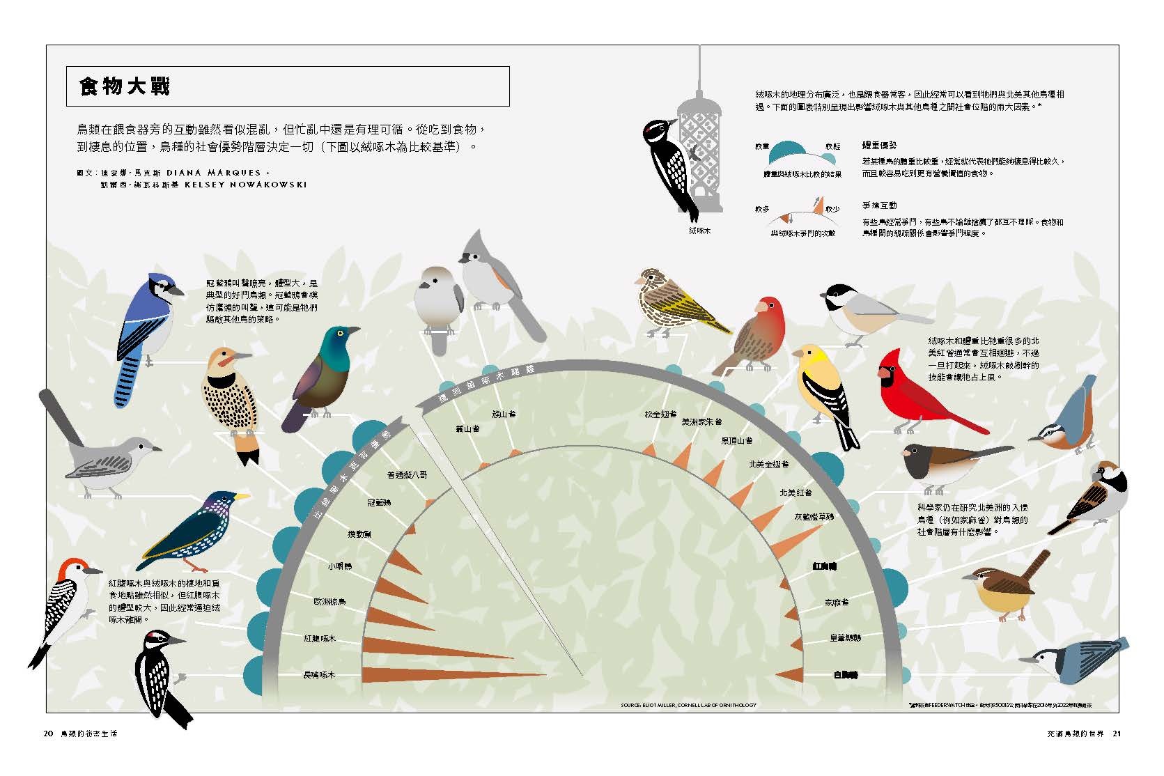 <img src="Secret Life of Birds-04.jpg" alt="2025年6月特刊、鳥類的祕密生活、探索鳥的奇妙生態與感官世界的內文4">