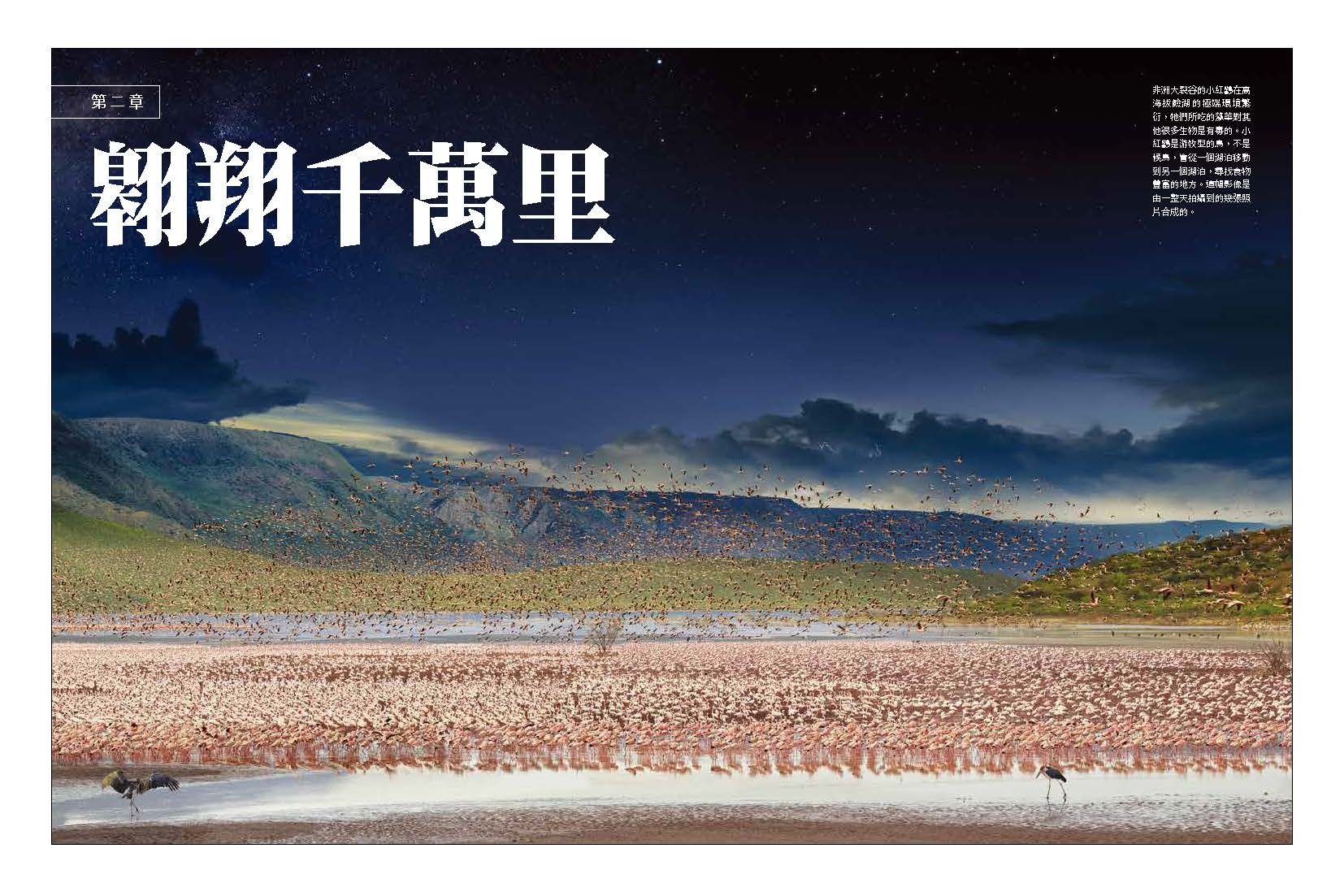 <img src="Secret Life of Birds-05.jpg" alt="2025年6月特刊、鳥類的祕密生活、探索鳥的奇妙生態與感官世界的內文5">