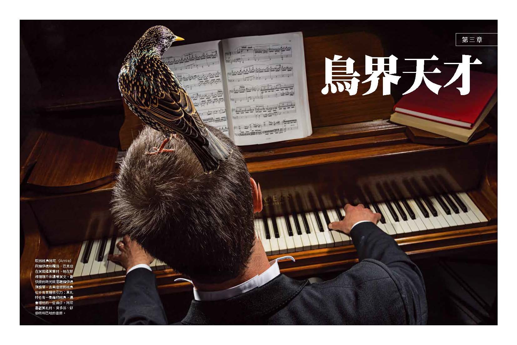 <img src="Secret Life of Birds-06.jpg" alt="2025年6月特刊、鳥類的祕密生活、探索鳥的奇妙生態與感官世界的內文6">
