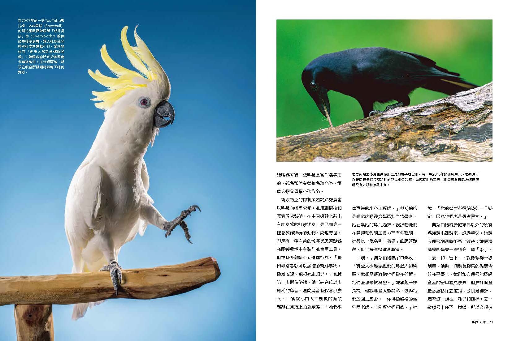 <img src="Secret Life of Birds-06.jpg" alt="2025年6月特刊、鳥類的祕密生活、探索鳥的奇妙生態與感官世界的內文6">