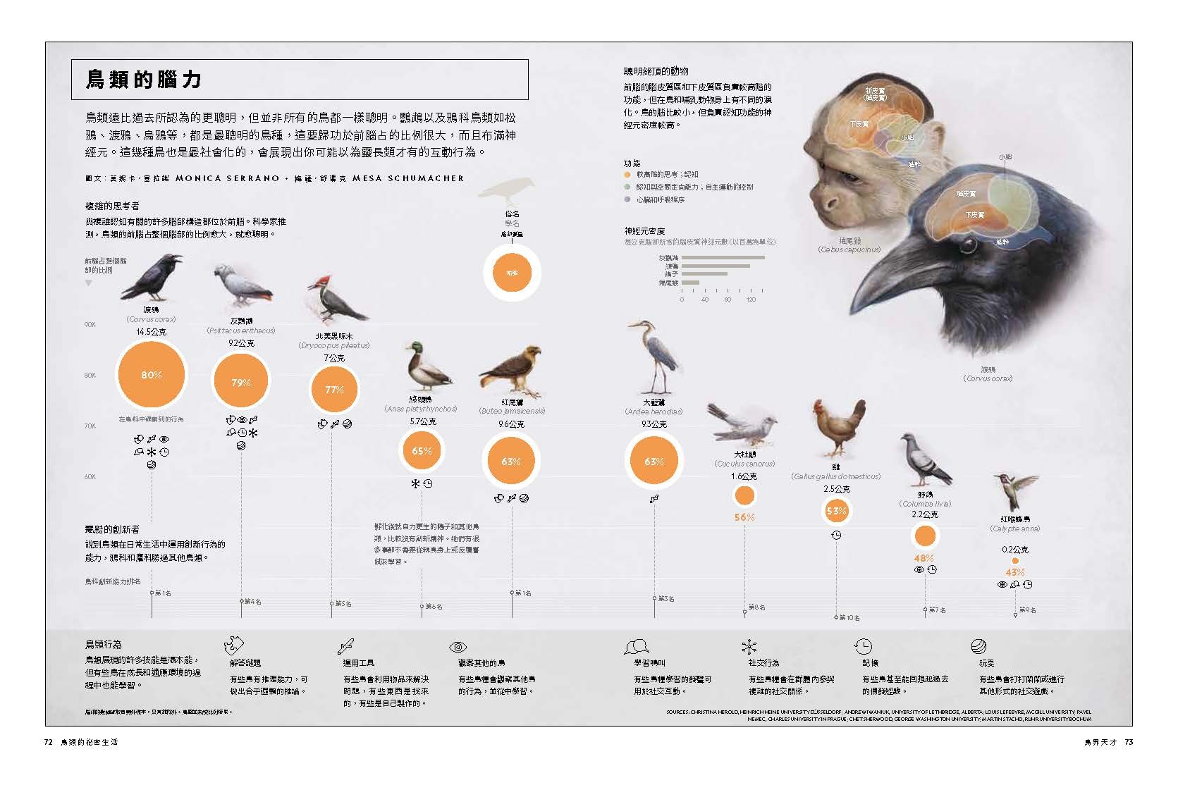 <img src="Secret Life of Birds-08.jpg" alt="2025年6月特刊、鳥類的祕密生活、探索鳥的奇妙生態與感官世界的內文8">