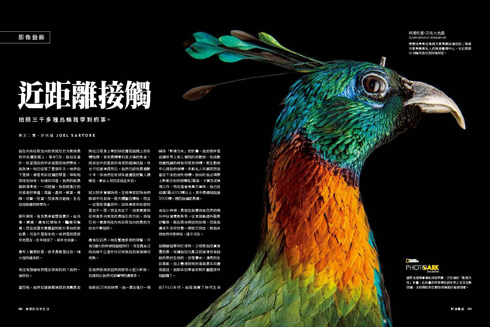 <img src="Secret Life of Birds-09.jpg" alt="2025年6月特刊、鳥類的祕密生活、探索鳥的奇妙生態與感官世界的內文9">