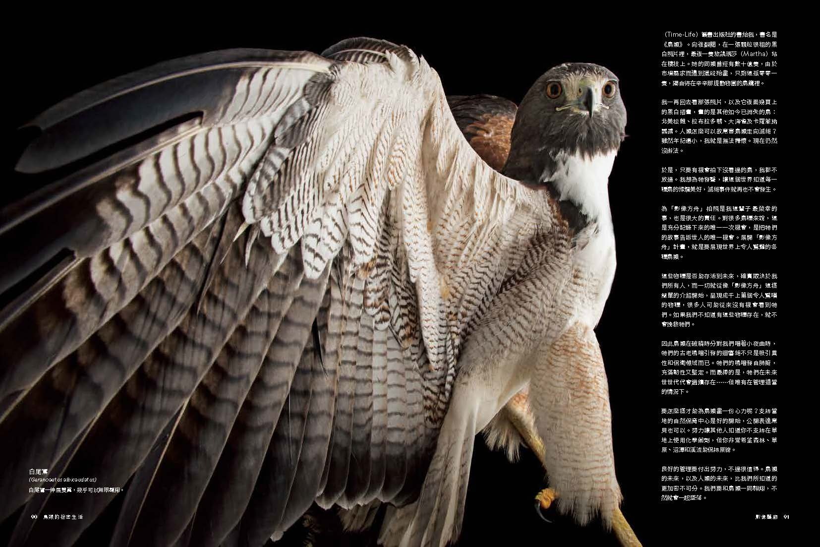 <img src="Secret Life of Birds-10.jpg" alt="2025年6月特刊、鳥類的祕密生活、探索鳥的奇妙生態與感官世界的內文10">