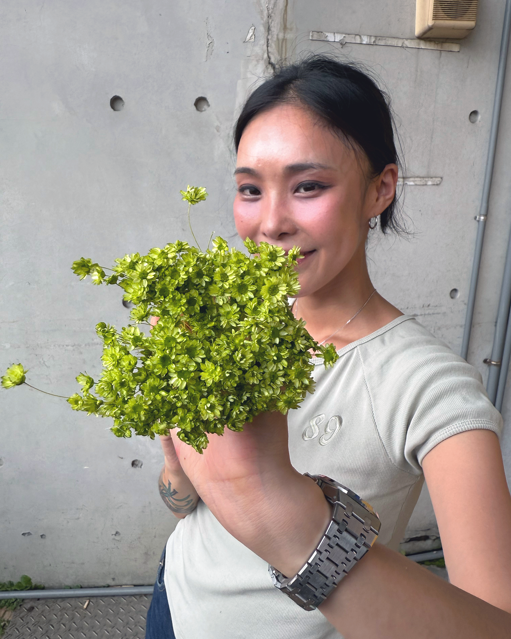 永生小星花 (日本)