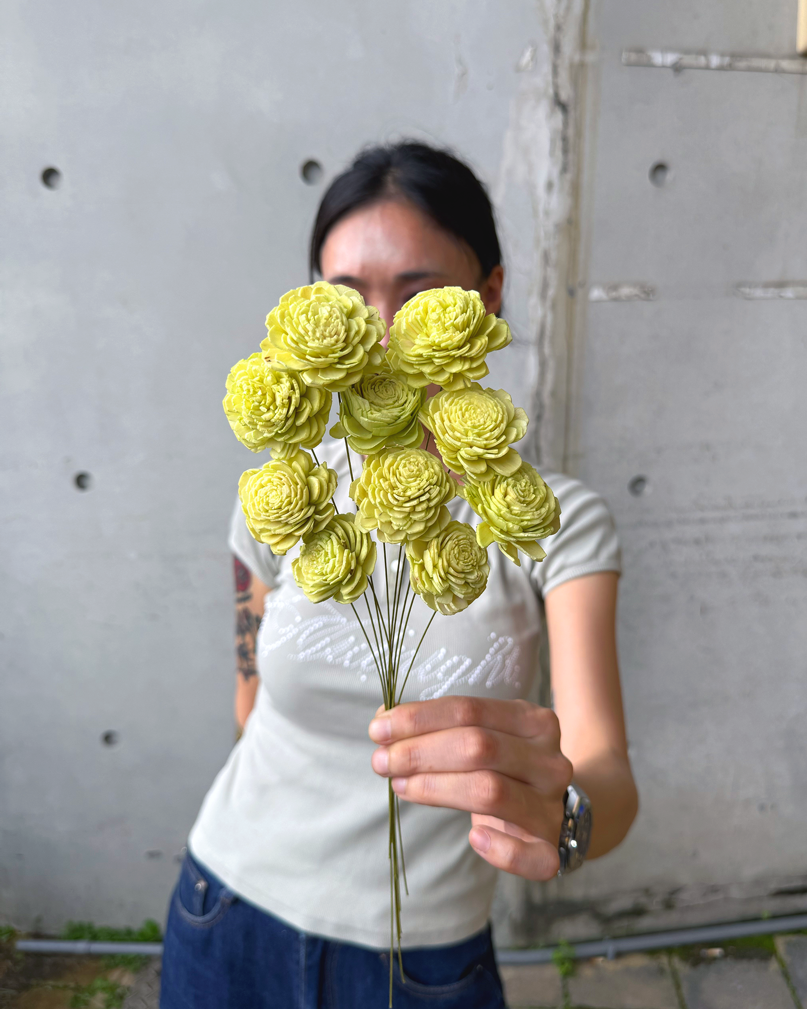 日本太陽玫瑰索拉（小朵 16色）