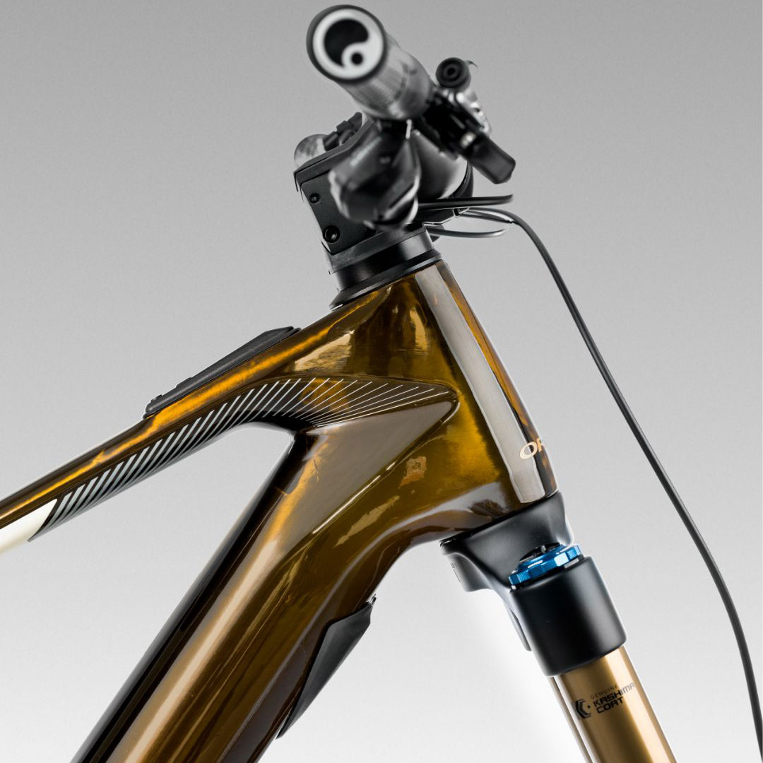 Orbea WILD M20 Enduro MTB E-Bike #S346