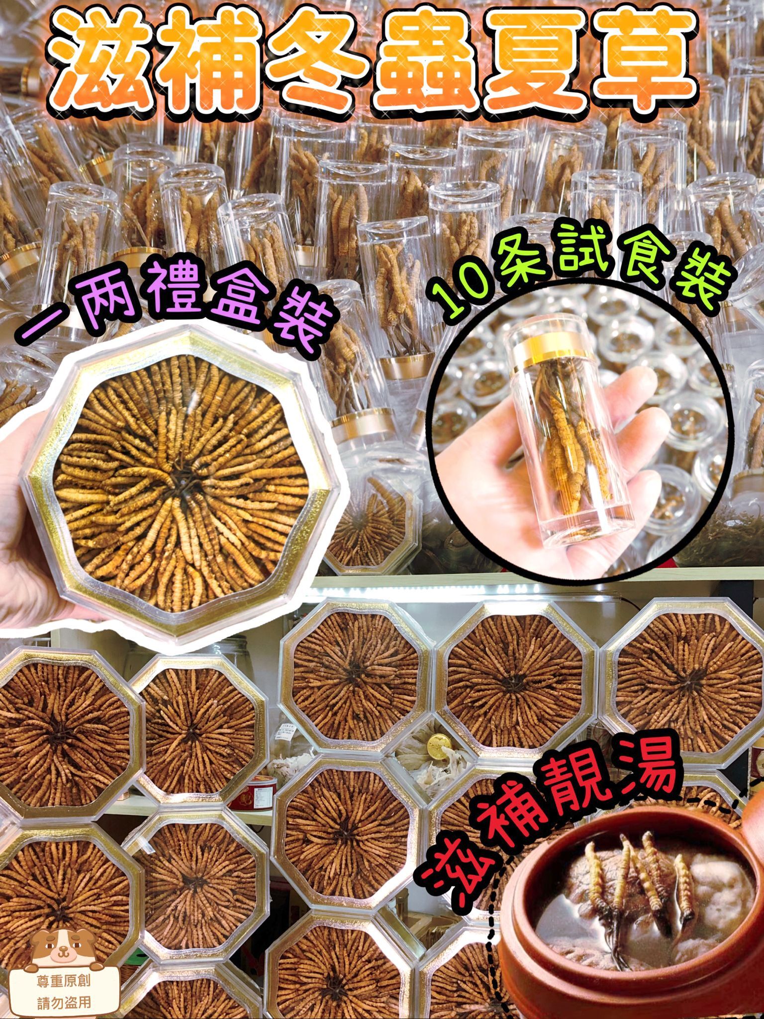 (3330)冬蟲夏草 (兩款可選)