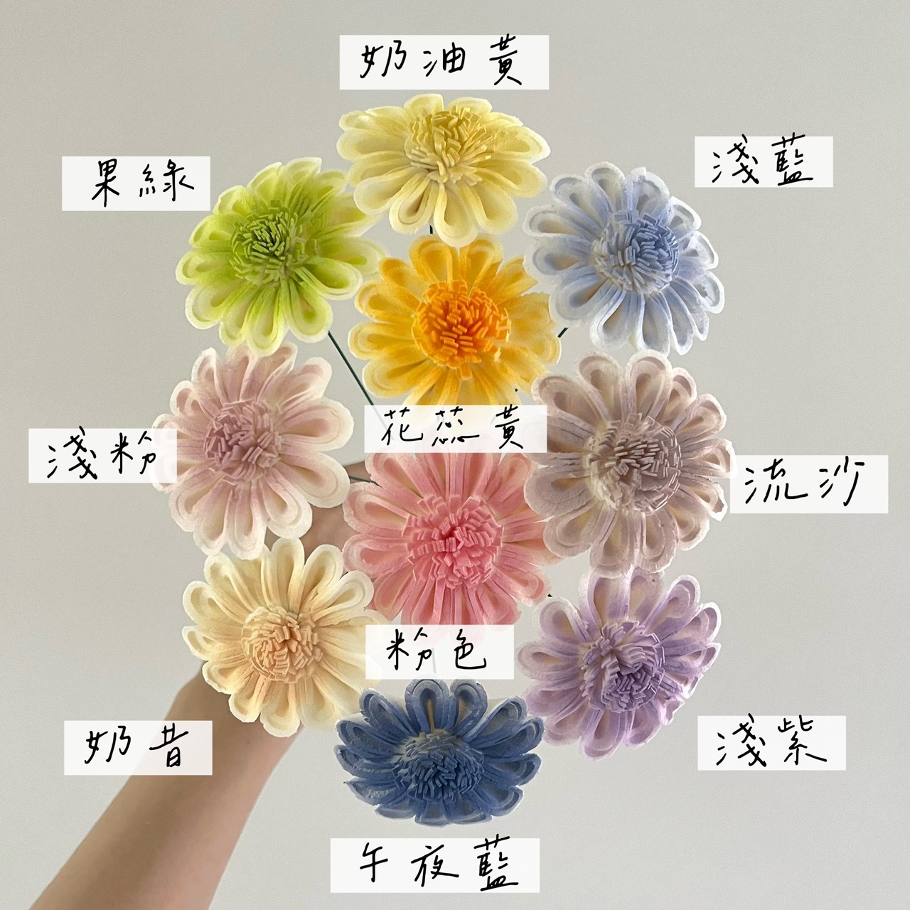 泰國索拉花  非洲太陽花(白心)6cm <十支一把> (高品質)