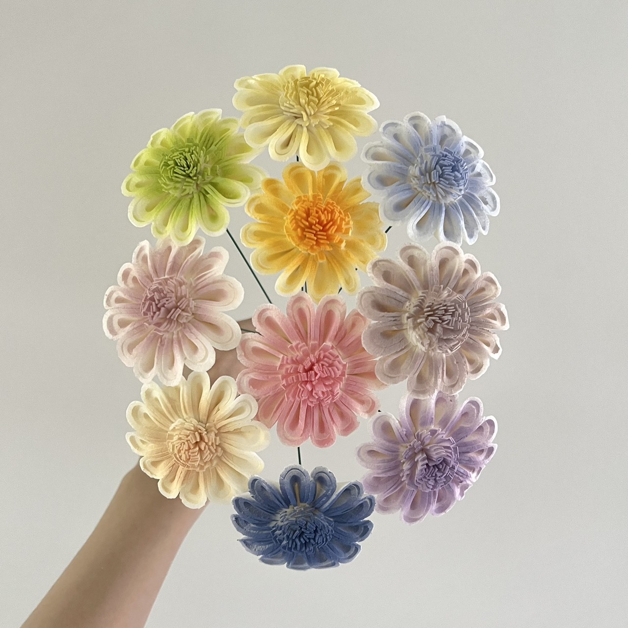 泰國索拉花  非洲太陽花(白心)6cm <十支一把> (高品質)