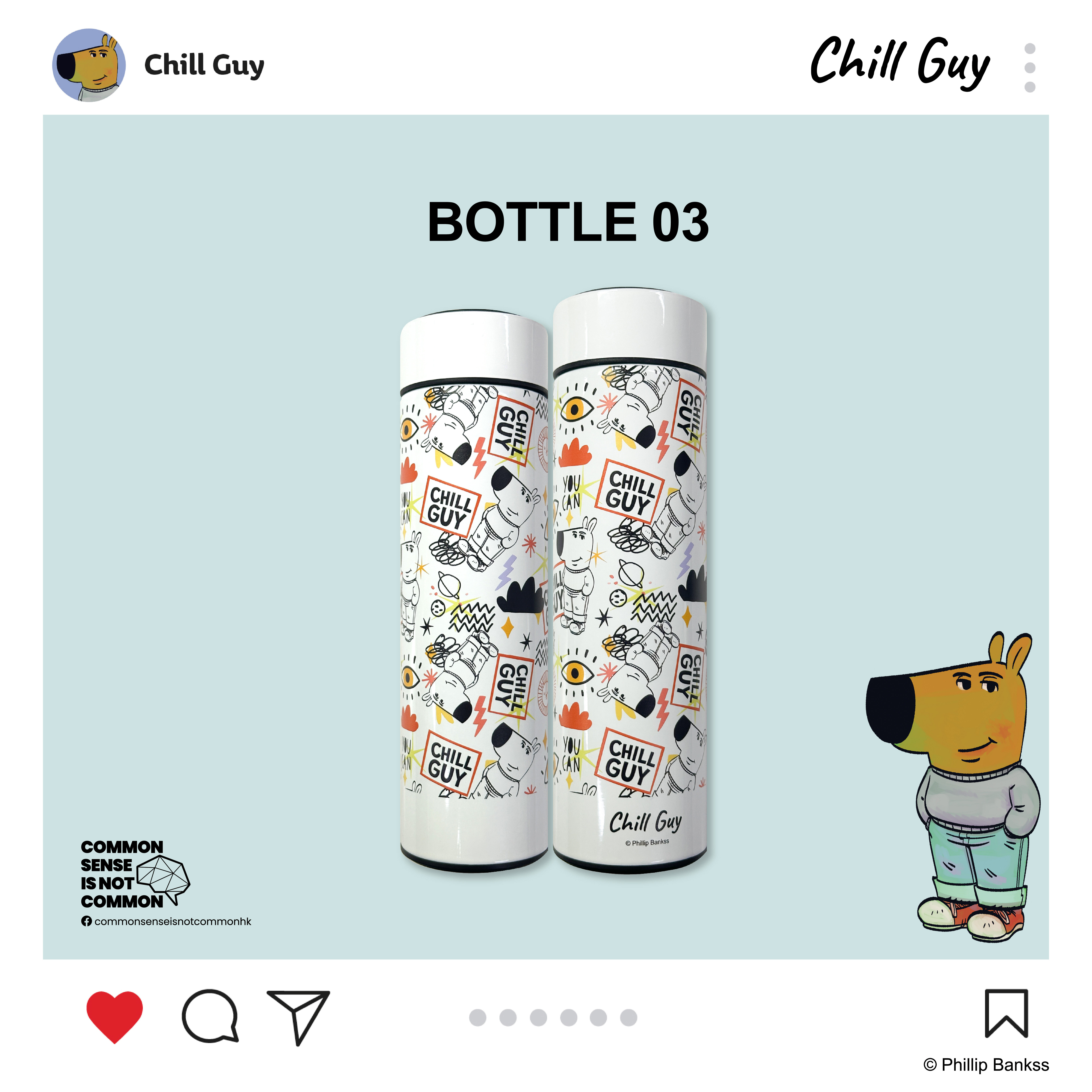 Chill Guy 保溫不繡鋼水樽 CG-BTL-SS03