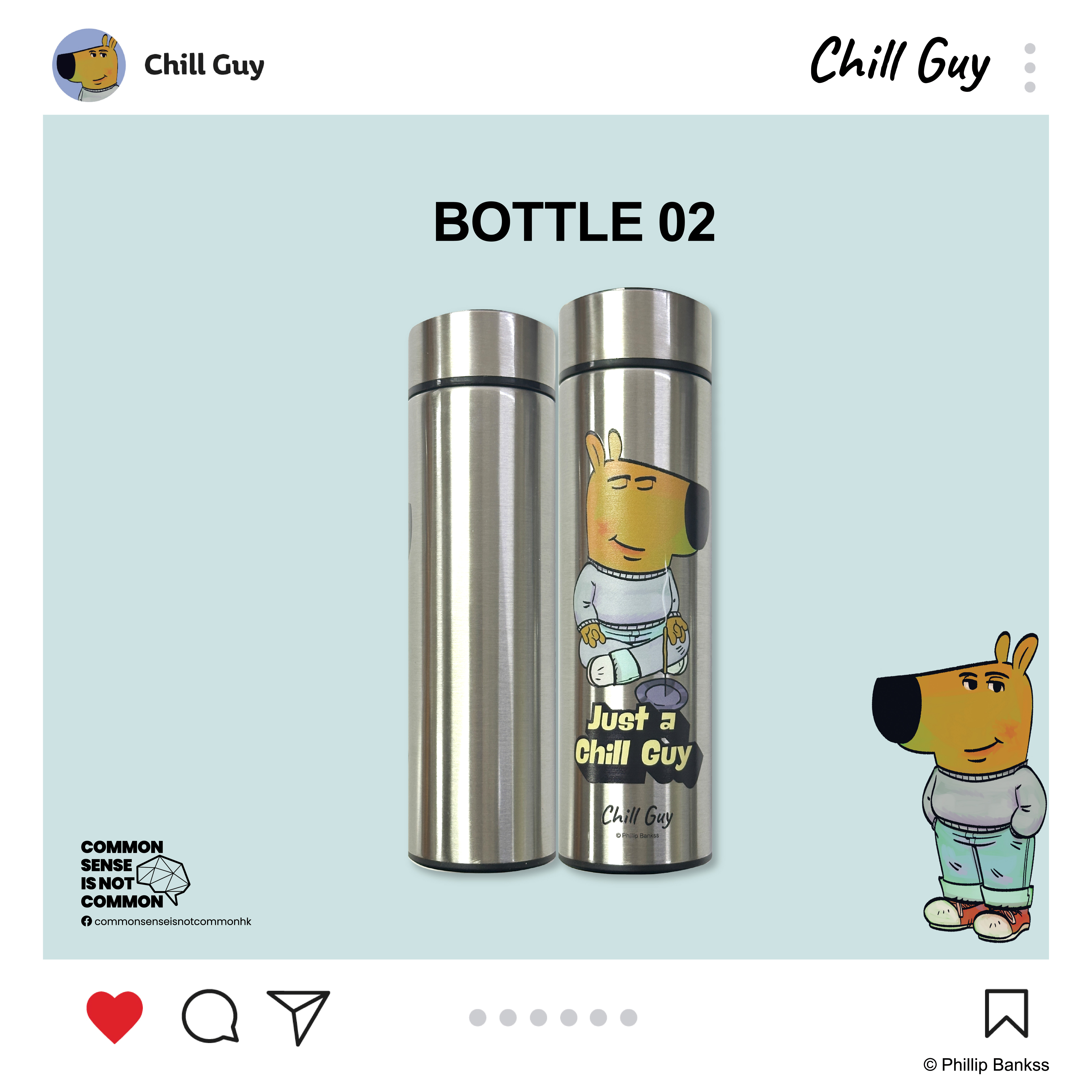Chill Guy 保溫不繡鋼水樽 CG-BTL-SS02