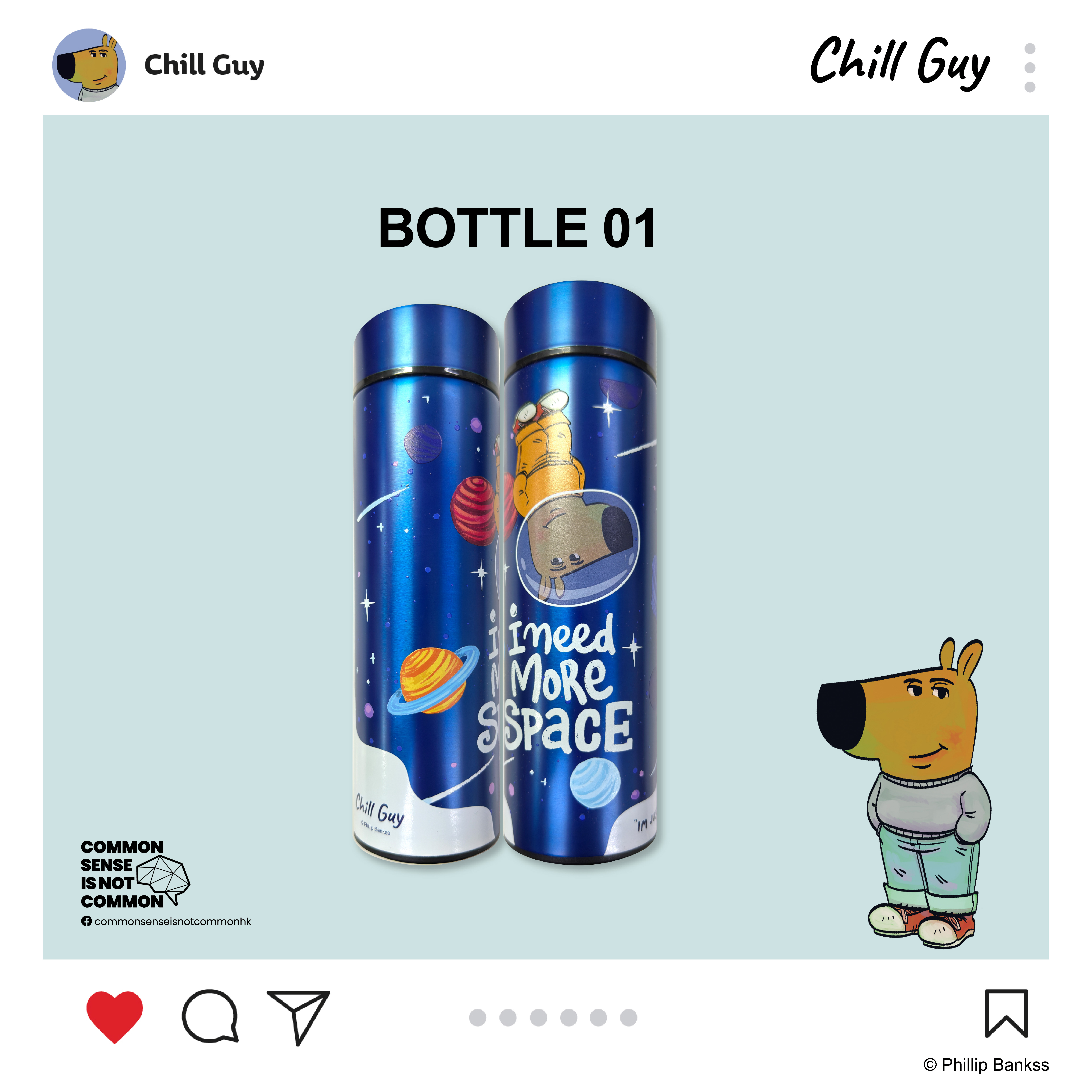 Chill Guy 保溫不繡鋼水樽 CG-BTL-SS01