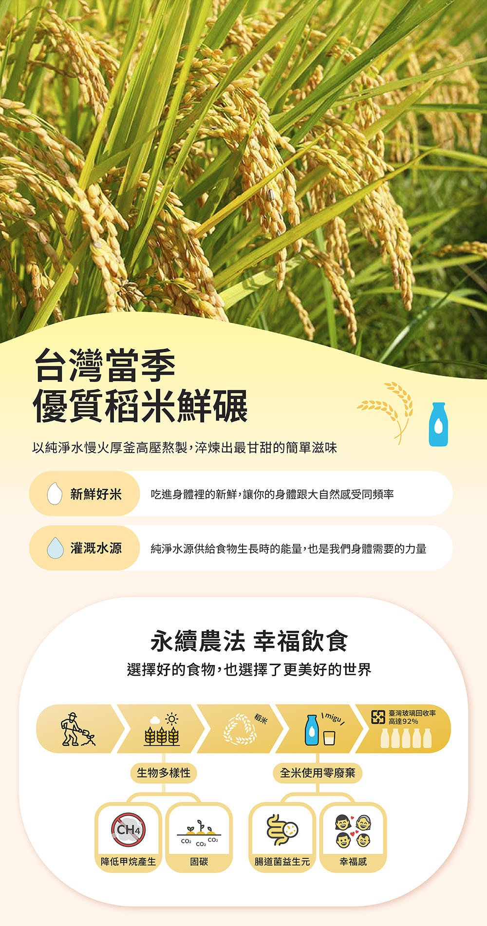 掌生穀粒-糜咕熬米湯-(原味)12入箱購