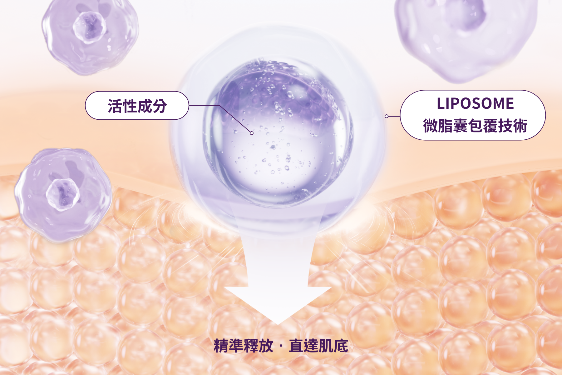 精準釋放•直達肌底