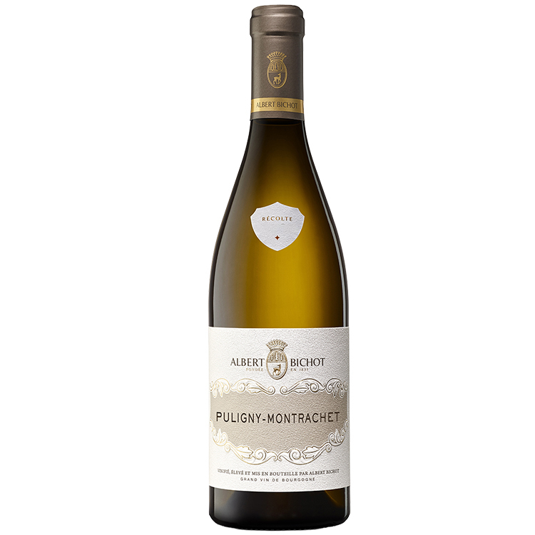 Albert Bichot Puligny Montrachet 2022