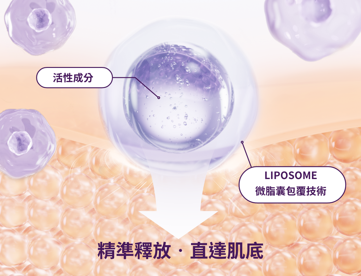 精準釋放•直達肌底