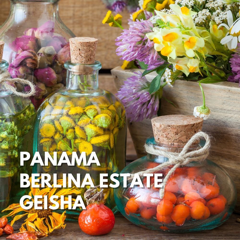 淺焙|巴拿馬 波奎特 波琳娜莊園 藝伎Geisha 日曬處理法 咖啡豆 半磅(227g) |暖窩咖啡