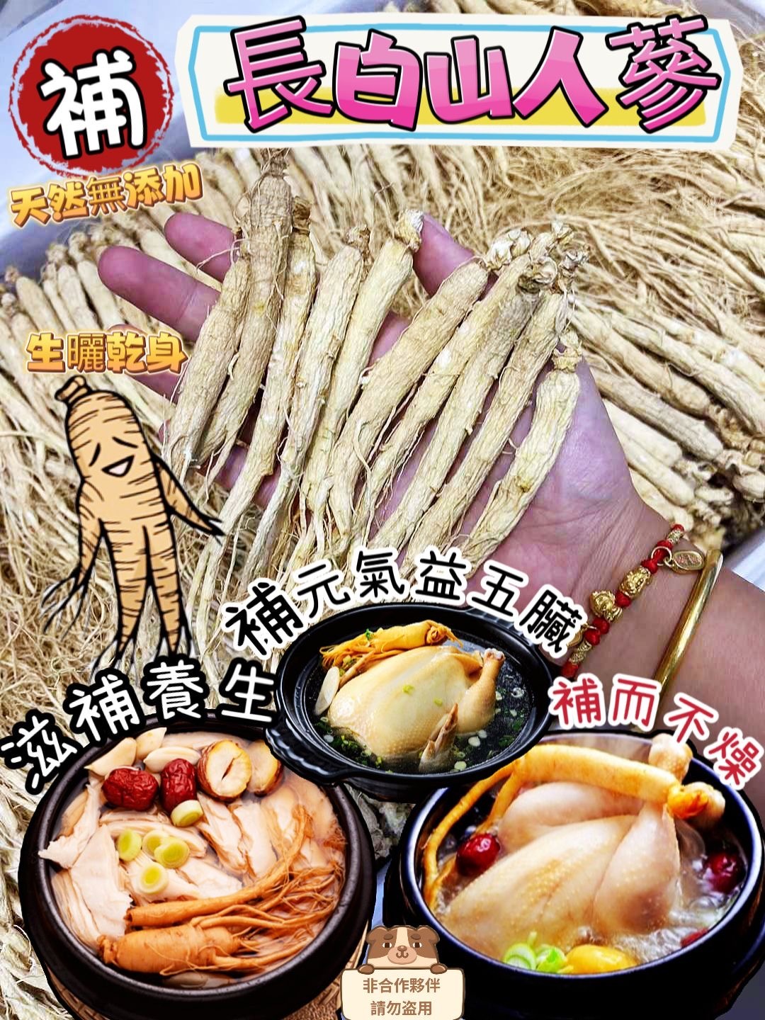 滋補聖品之長白山人蔘