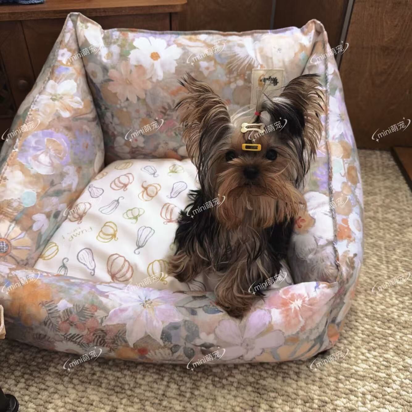 哼唧兽 复古居家宠物天丝斜靠沙发狗窝猫窝舒适春夏季舒适柔软高颜值