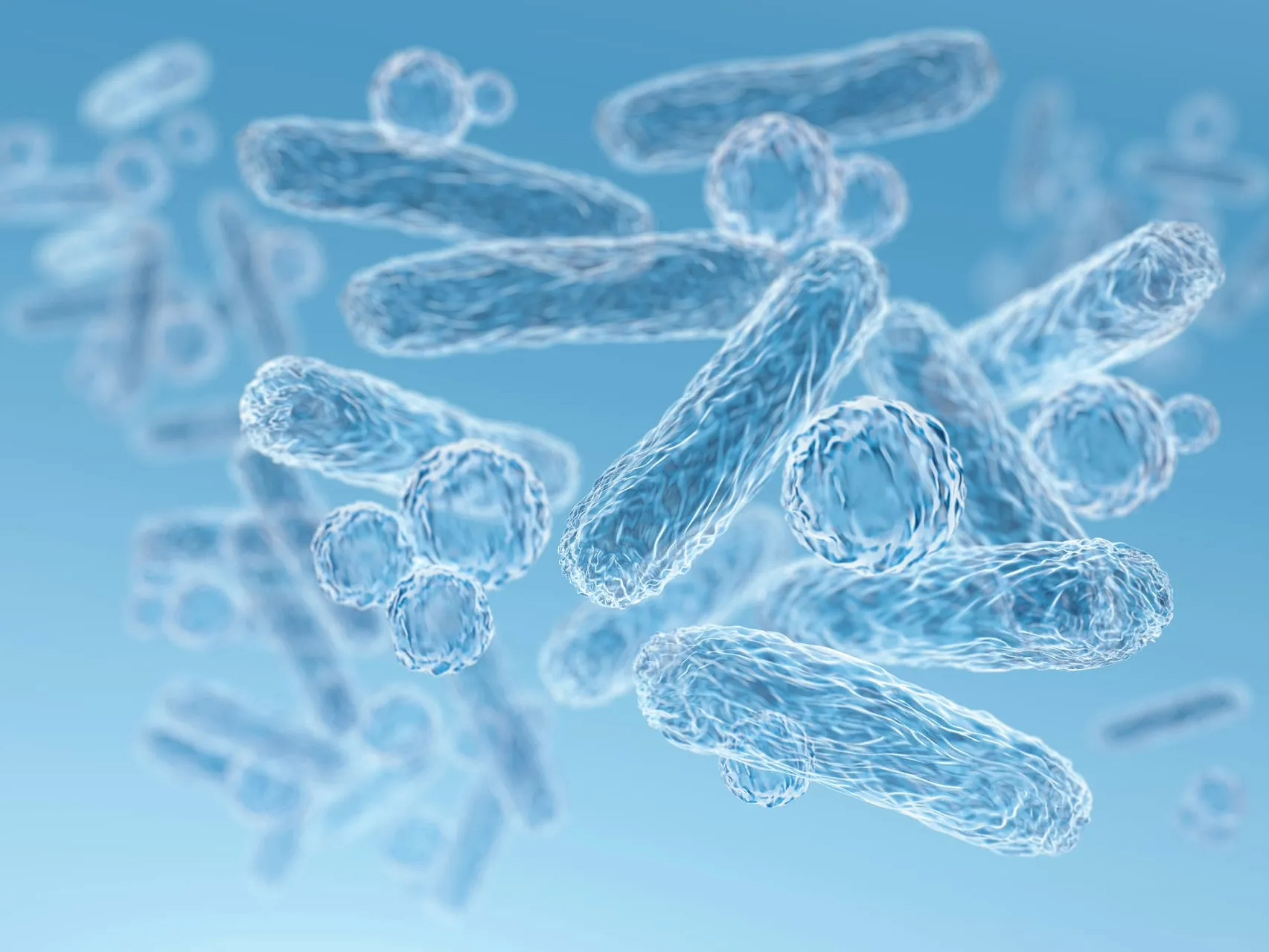 腸道微生物叢與人體健康