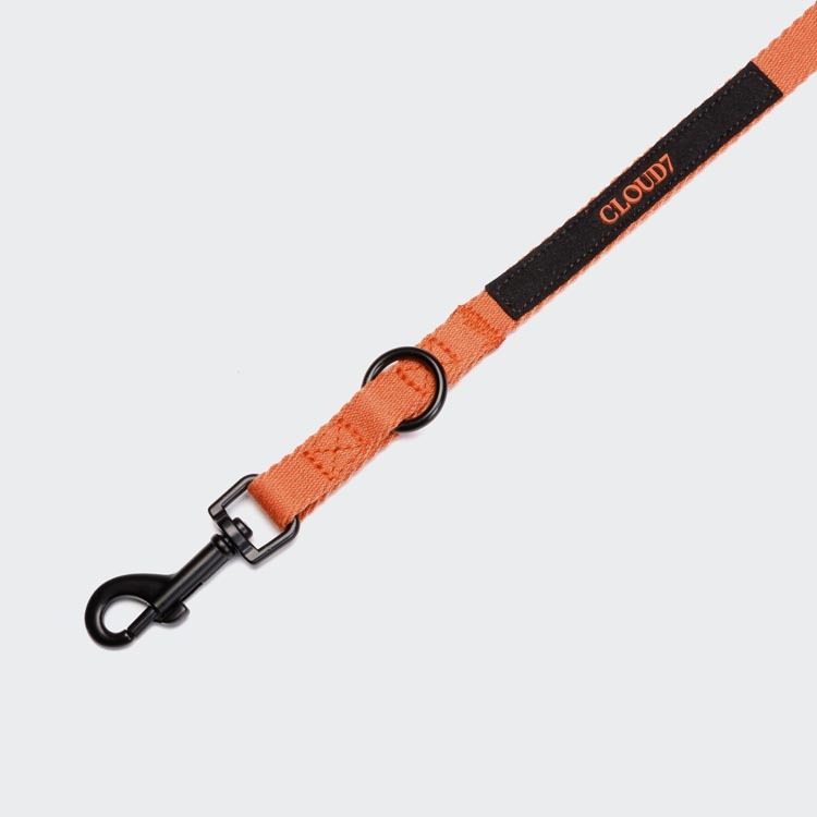 CLOUD7 - 牽繩 Holly Park