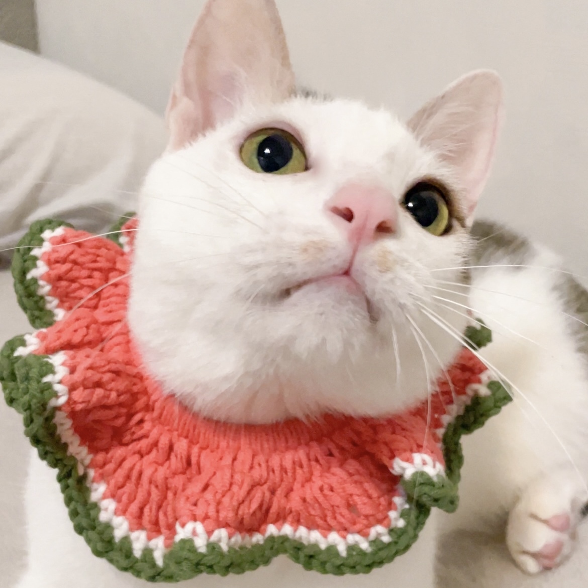 花花領巾｜水果系列